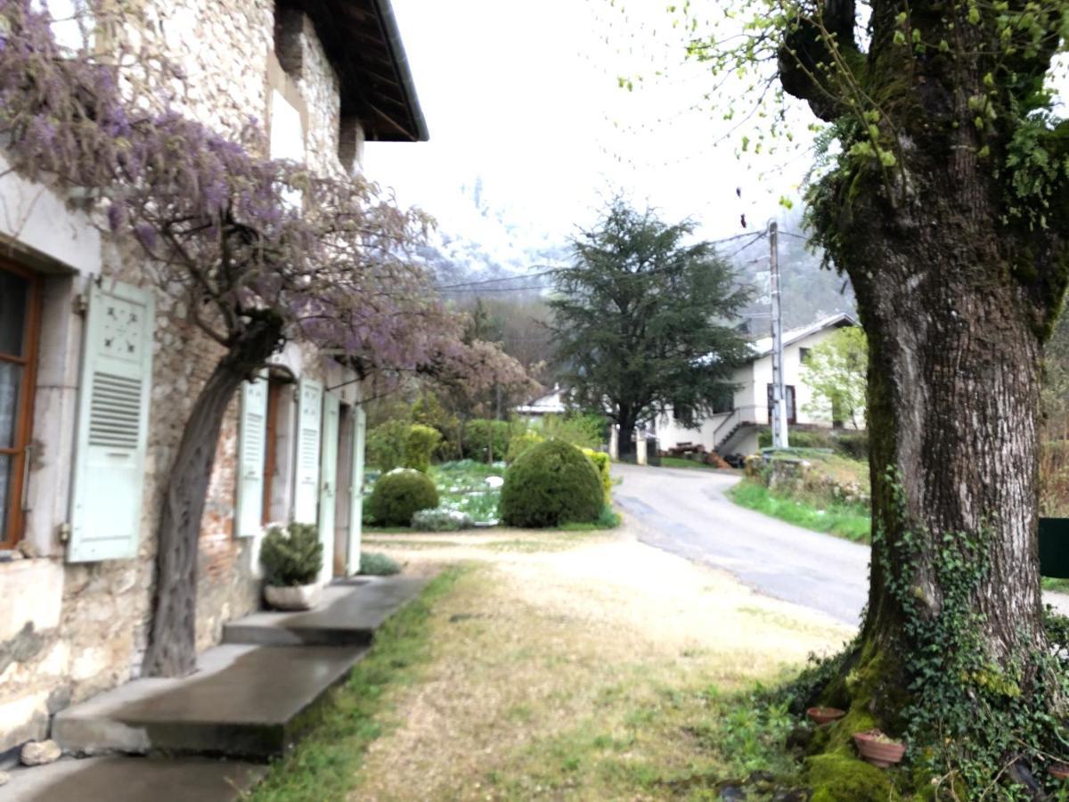 Au Pied Du Vercors Tout Est Permis La Riviere  Eksteriør billede