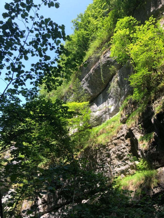 Au Pied Du Vercors Tout Est Permis La Riviere  Eksteriør billede
