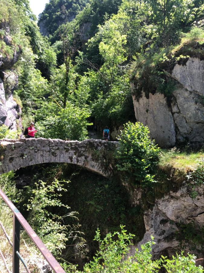 Au Pied Du Vercors Tout Est Permis La Riviere  Eksteriør billede